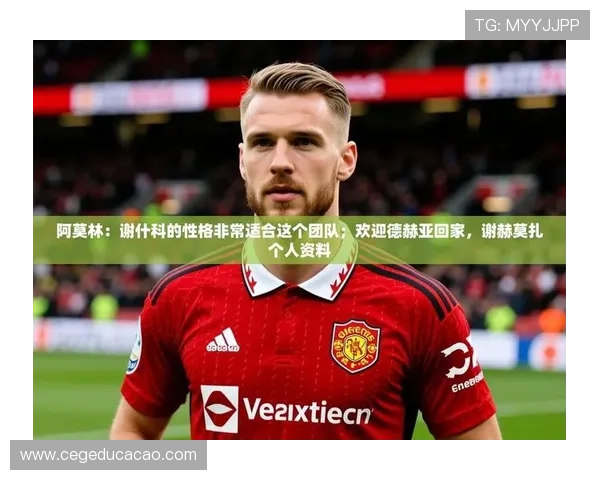 九游娱乐官方网站赞助不莱梅足球俱乐部的合作背景与行业内的战略布局分析